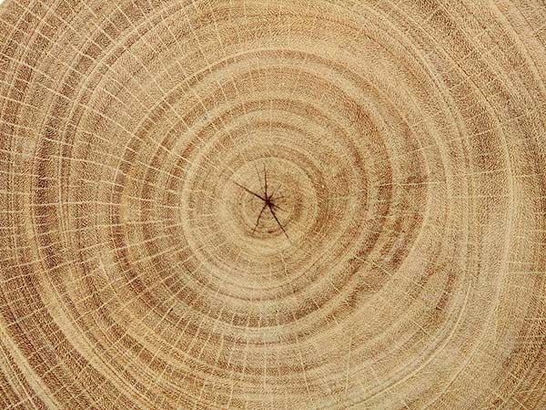 showroom-di-serramenti-in-legno-alluminio-a-milano